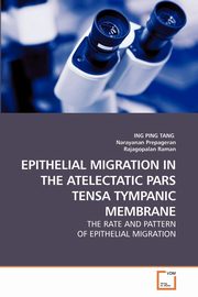 EPITHELIAL MIGRATION IN THE ATELECTATIC PARS TENSA TYMPANIC MEMBRANE, TANG ING PING