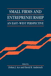 Small Firms and Entrepreneurship, 