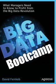 Big Data Bootcamp, Feinleib David