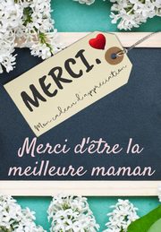 Merci D'?tre La Meilleure Maman, Publishing Group The Life Graduate