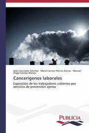 Cancergenos laborales, Gonzlez Snchez Jess