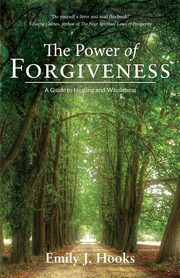 The Power of Forgiveness, Hooks Emily J