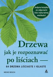 Drzewa jak je rozpoznawa po liciach, Bosch Meike