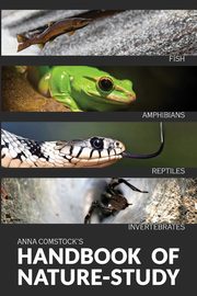 The Handbook Of Nature Study in Color - Fish, Reptiles, Amphibians, Invertebrates, Comstock Anna