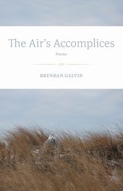 The Air's Accomplices, Galvin Brendan
