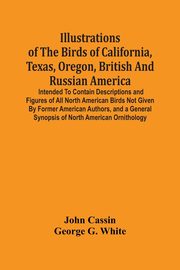 Illustrations Of The Birds Of California, Texas, Oregon, British And Russian America., Cassin John