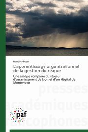 ksiazka tytu: L'apprentissage organisationnel de la gestion du risque autor: PUCCI-F