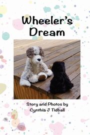Wheeler's Dream, Tidball Cynthia J