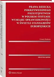 Prawa dziecka pokrzywdzonego przestpstwem w polskim systemie wymiaru sprawiedliwoci w wietle standardw europejskich, Kulesza Cezary