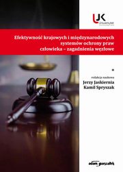 Efektywno krajowych i midzynarodowych systemw ochrony praw czowieka zagadnienia wzowe, 