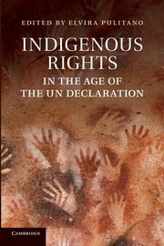 Indigenous Rights in the Age of the Un Declaration, 