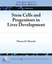 Stem Cells and Progenitors in Liver Development, Muench Marcus O.