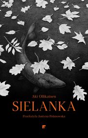 Sielanka, Ollikainen Aki