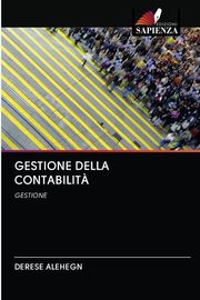 GESTIONE DELLA CONTABILIT?, Alehegn Derese