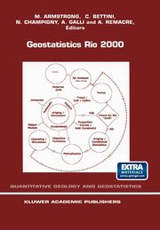 Geostatistics Rio 2000, 