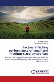 Factors affecting performance of small and medium-sized enterprises, Elias Anwaredin