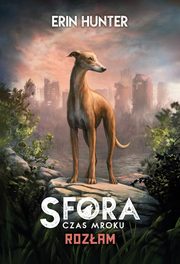 Rozam Sfora Czas mroku Tom 1, Hunter Erin