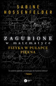 Zagubione w matematyce, Hosenfelder Sabine