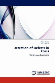 Detection of Defects in Glass, Gupta Nishu