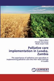 Palliative care implementation in Lusaka, Zambia, Mbozi Patience