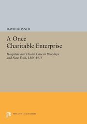 A Once Charitable Enterprise, Rosner David