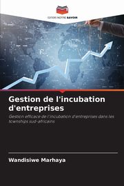 Gestion de l'incubation d'entreprises, Marhaya Wandisiwe