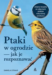 Ptaki w ogrodzie - jak je rozpoznawa, Strauss Daniela