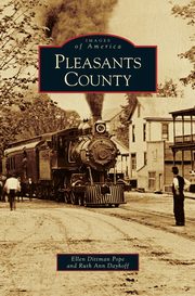 ksiazka tytu: Pleasants County autor: Pope Ellen Dittman