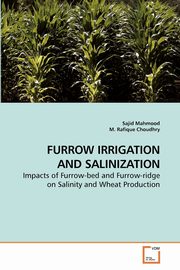 FURROW IRRIGATION AND SALINIZATION, Mahmood Sajid