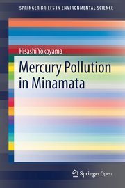 Mercury Pollution in Minamata, Yokoyama Hisashi