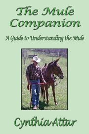 The Mule Companion, Attar Cynthia