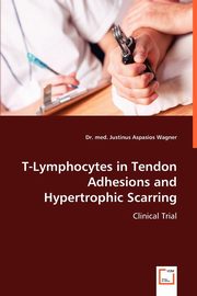T-Lymphocytes in Tendon Adhesions and Hypertrophic Scarring, Wagner Justinus Aspasios