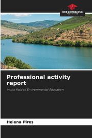 Professional activity report, Pires Helena