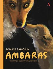 Ambaras, Samojlik Tomasz