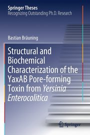 Structural and Biochemical Characterization of the YaxAB Pore-forming Toxin from Yersinia Enterocolitica, Bruning Bastian