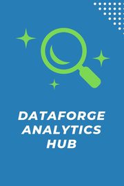 DataForge Analytics Hub, Davis Paul