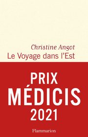Voyage dans l'Est literatura francuska, Angot Christine