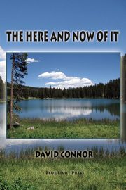 The Here and Now of It, Connor David