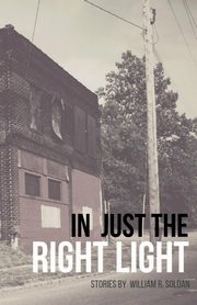 In Just the Right Light, Soldan William R