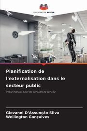 Planification de l'externalisation dans le secteur public, D'Assun?o Silva Giovanni