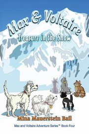 Max and Voltaire Treasure in the Snow, Bail Mina  Mauerstein