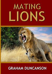 Mating Lions, Duncanson Graham