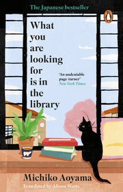 What You Are Looking for is in the Library, Aoyama Michiko