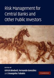 Risk Management for Central Banks and Other Public Investors, 