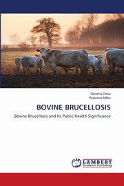 BOVINE BRUCELLOSIS, Desa Garoma