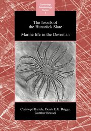 The Fossils of the Hunsruck Slate, Bartels Christoph