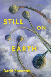 Still on Earth, Romtvedt David