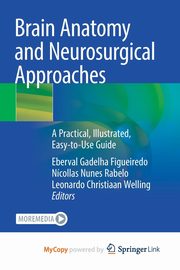 Brain Anatomy and Neurosurgical Approaches, 