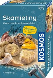 Zestaw Archeologiczny Skamieliny, 