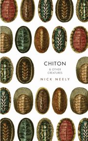 Chiton & Other Creatures, Neely Nicholas